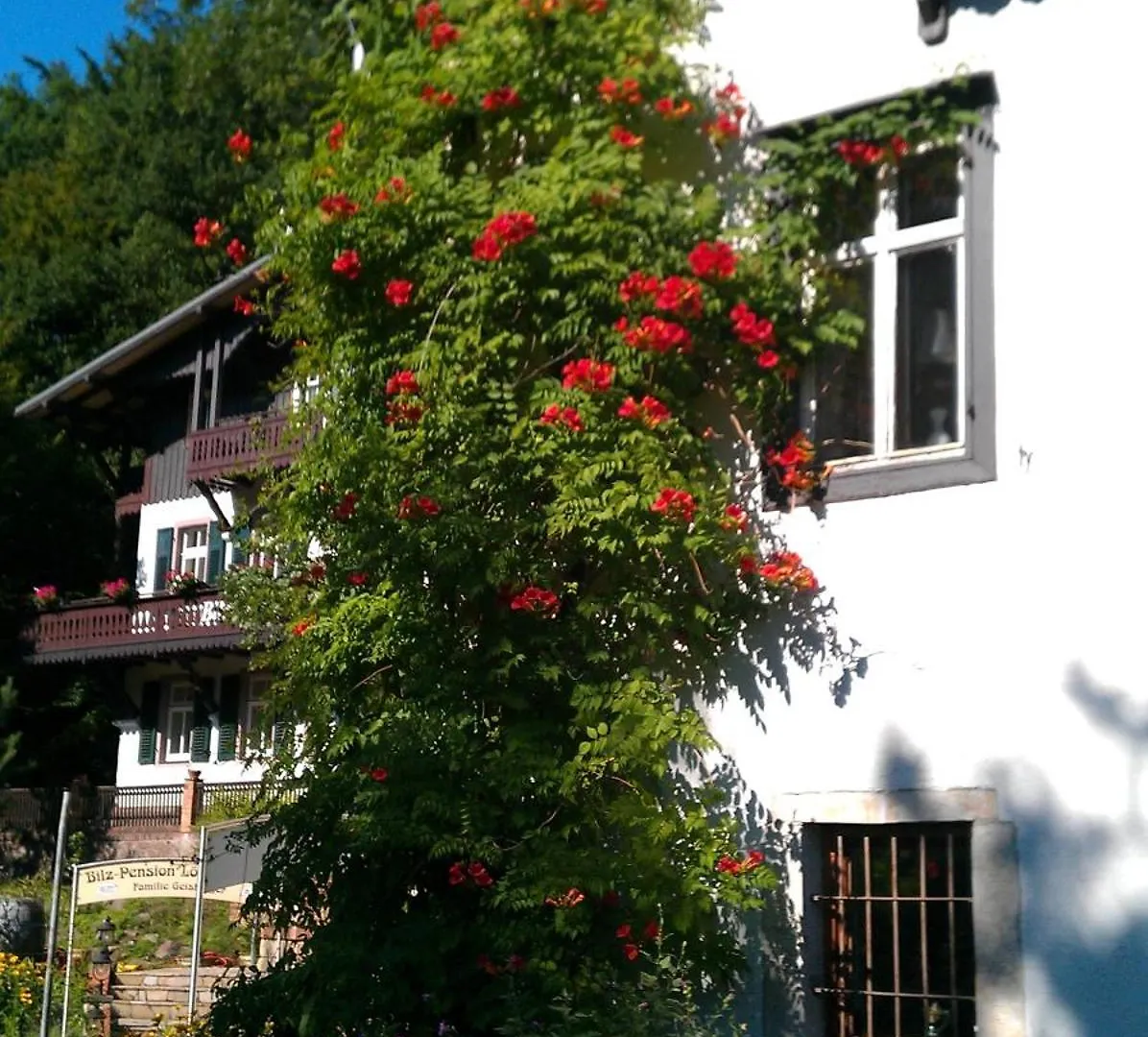 Bilz-Pension Radebeul