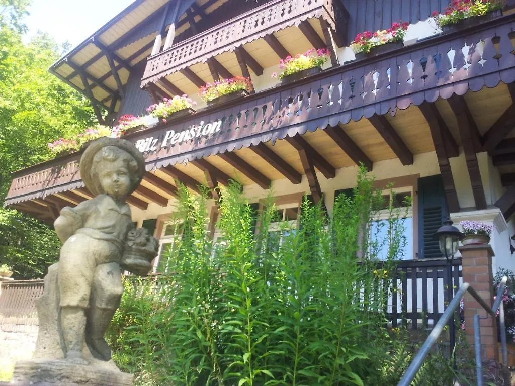 Bilz-Pension Radebeul Guest house